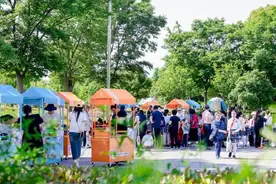 浦东文明实践多样化，新邻里共游社区，流浪猫有了新家图片