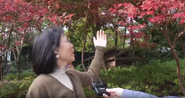 浙里“枫”光正好！多地红叶进入最佳观赏期 解锁秋冬限定浪漫