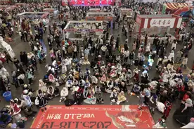 “郑州NE 新春动漫展（第四届）”举行图片