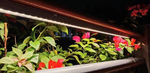 闽清夜游打卡点！梅溪休闲栈道夜景您见过么？太美了！