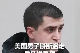 掰断盗走兵马俑手指！美国男子获五年缓刑图片