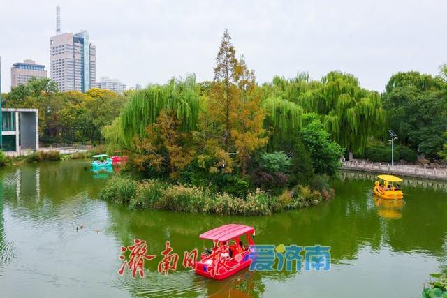 一年四季 泉在济南丨微风不燥秋意浓，泉城公园开启市民休闲露营模式
