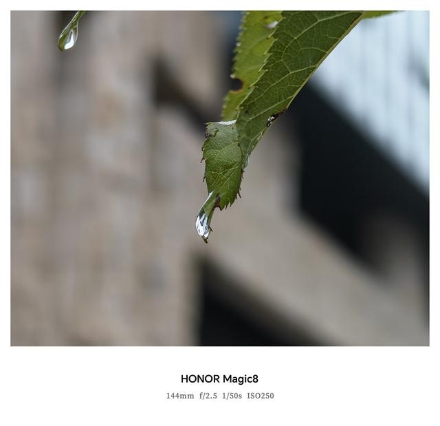 荣耀Magic8评测：体验恰到好处的标准版旗舰