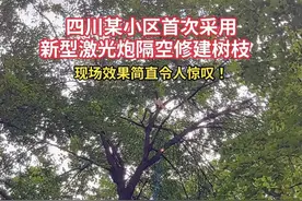 砍树“六脉神剑”来了？原来这是激光清障技术 可减少人工作业风险图片