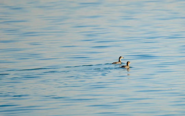 美翻了！南湖，正是红橙黄绿时