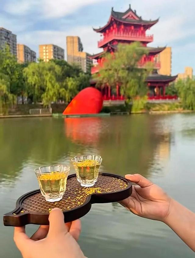 万象焕新，里运河承载你的美！