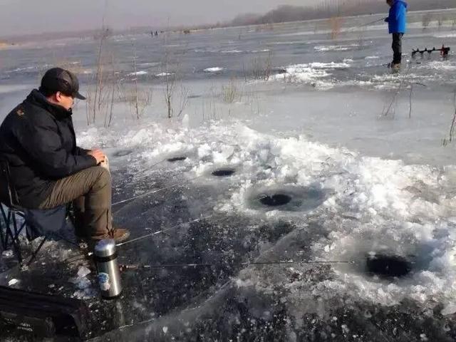 这个冬天，猫在巴彦淖尔才是幸福事