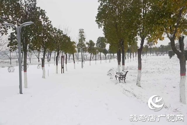 【大美天中】泌阳：瑞雪绘童话 银装映风华