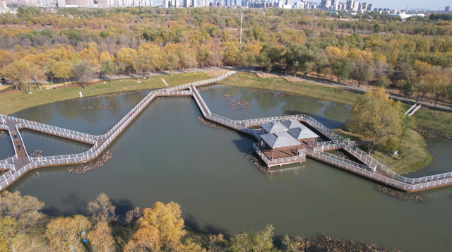 周末去哪？这条呼和浩特秋日City walk路线，可以直接抄作业！