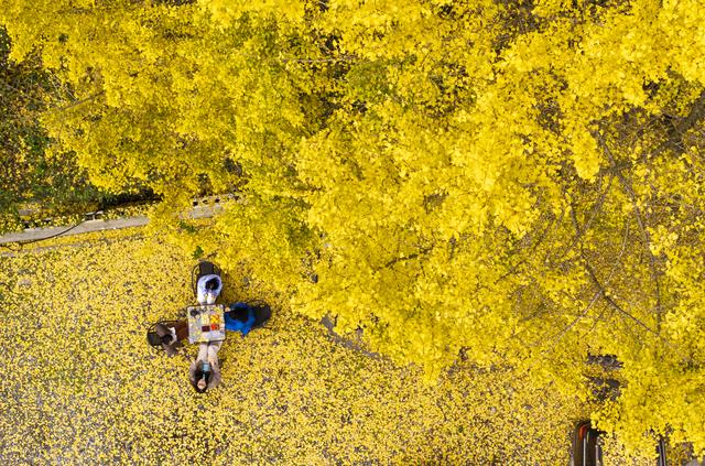 何以重庆｜南川：因山而“城”