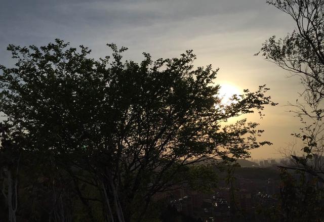 城中静地牧牛山