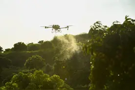 一年降一万元，农业无人机价格“贴地飞行”图片