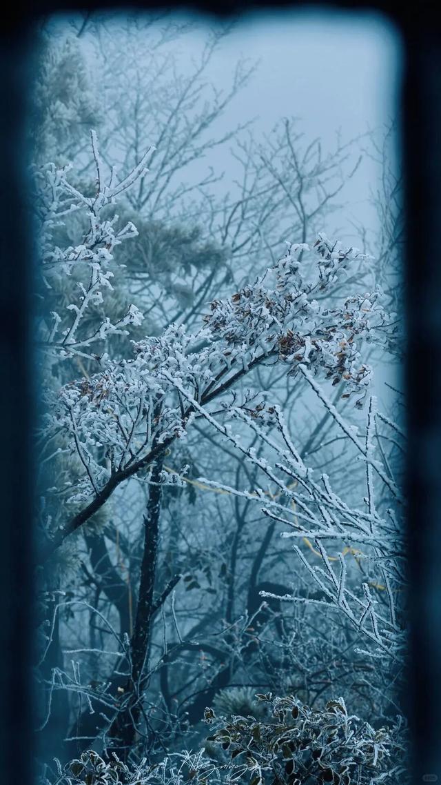 如画江西的冬日惊喜，是什么样子的？