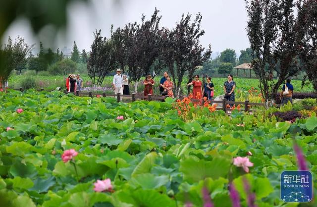 外地高温40℃，云南还要穿长裤，来感受独一份清凉