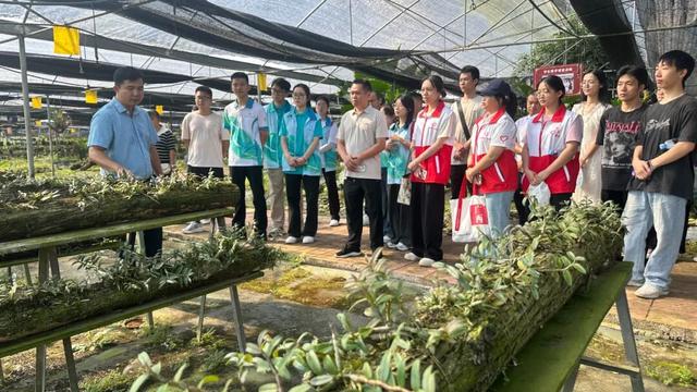 融水文旅要“出圈”？40余位代表赴大苗山支招