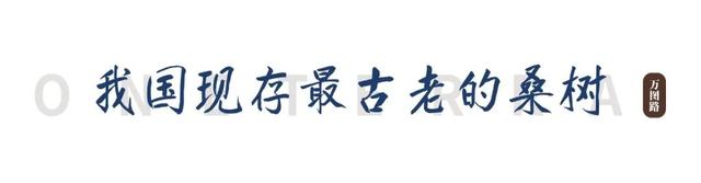 这座东南沿海城市不仅是世遗之城，还有13个“全国之最”！