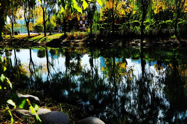 组图丨武威海藏公园：一湖秋色半城诗