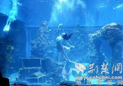 “津”秋双节狂欢：奇梦夜、潮玩海、四馆共谱“襄”味文旅新篇
