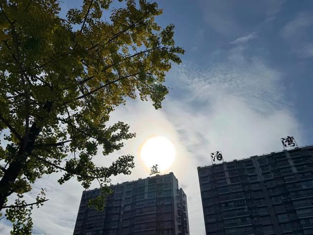 冬｜把时光染成斑斓诗行～