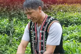 家有喜事传北京｜拉祜族：爱茶护茶分享茶，家乡茶事今更盛图片