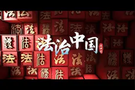 直击消博会热门展区：高培草饲奶粉受热捧图片