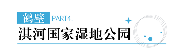 在秋冬的诗行里，尽赏“芦花飞雪”落中原！