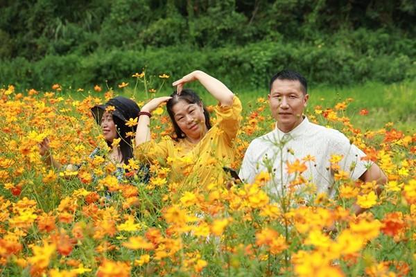 双牌：初秋花海醉游人四季观景绘就全域旅游新图景