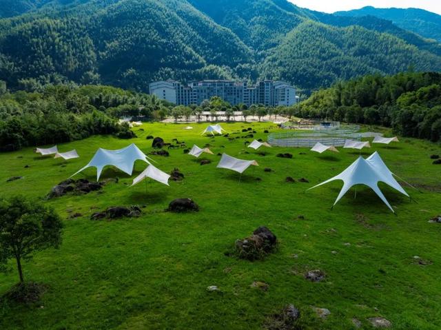 猫儿山新晋打卡地！「行云牧场」萌宠乐园试业开放，桂林北版“阿勒泰”等你来撒欢！