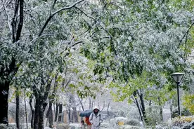 辽宁湿雪预警！暴雪预报升级！可能有冻雨！沈阳城区降雪时间就在图片