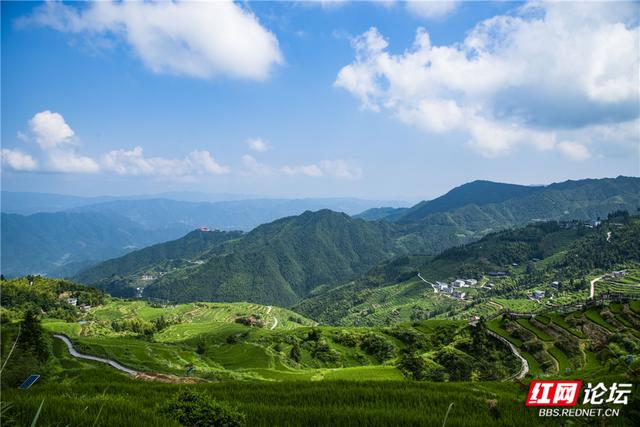【每日一图@湖南】千层绿浪，漫过山背的夏天