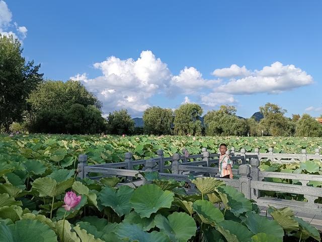 黔西南：“追逐”风景里的民族文化