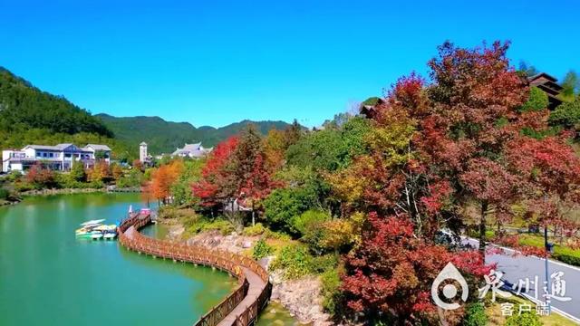 巨出片！趁现在，来泉州追一场秋……