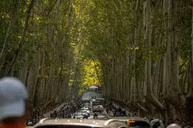 组图丨南京秋意浓  梧桐大道成“打卡胜地”图片