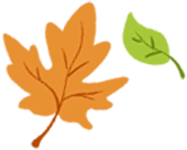 秋染良庆！异木棉粉、三角梅艳，这片土地藏着最缤纷的秋日浪漫