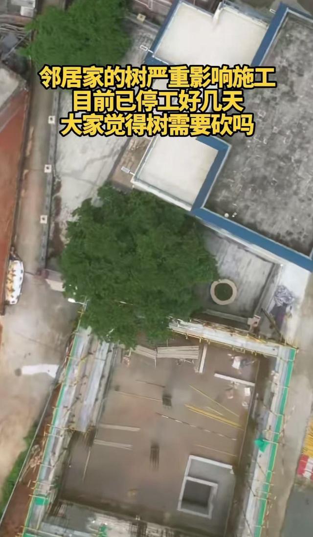 施工方辟谣全红婵新家施工受阻
