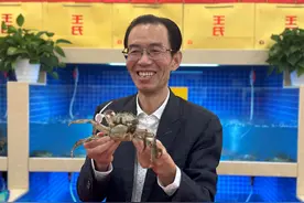 虽迟但到！1万多斤大闸蟹已抵杭，不过建议再多给螃蟹几天时间图片