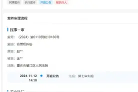 赵丽颖，申请强制执行图片