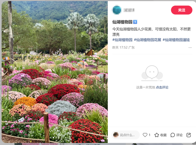 就在明天！深圳又一花展来了