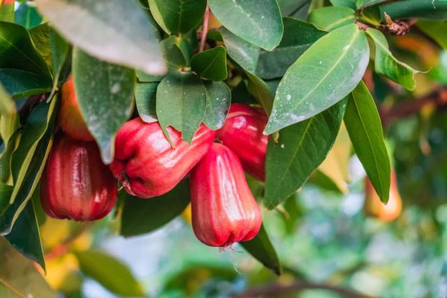 贤鲁跑名额增加！环岛吃喝玩乐购全攻略→