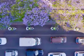 注意！“赏楹季”昆明教场路片区适时采取交通管制图片