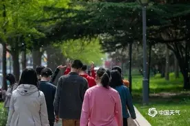 河南、山东等地的杨柳絮已进入盛飞期，要持续多久？吸入口腔鼻腔怎么办图片
