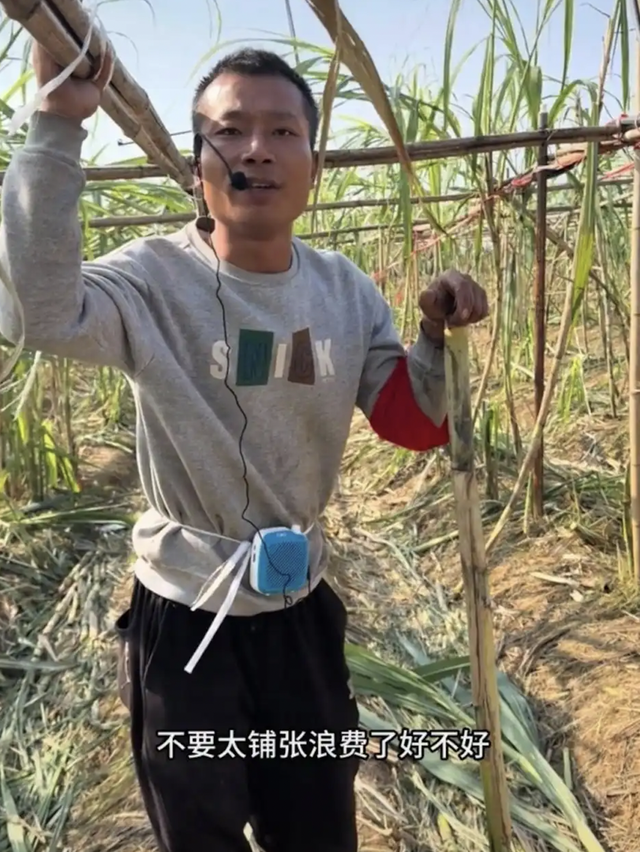 文化杂谈 | “偷甘蔗”火了，文旅融合不应总陷“同款困局”