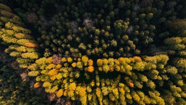 余杭初冬藏不住！这些秘境绝美~