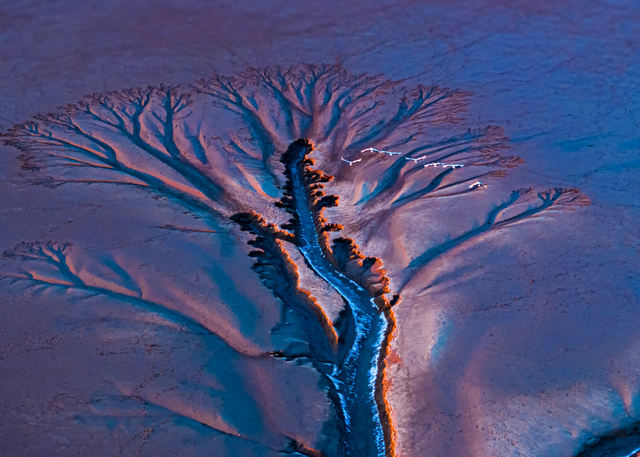 想吃正宗东台本港海鲜吗？