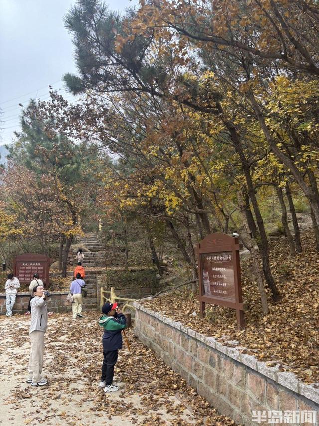 登山路上，秋意十足