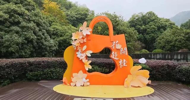 央视聚焦！绍兴这里出名了