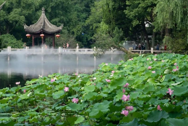 第八个“中国医师节”快到了,公园给医生送福利咯