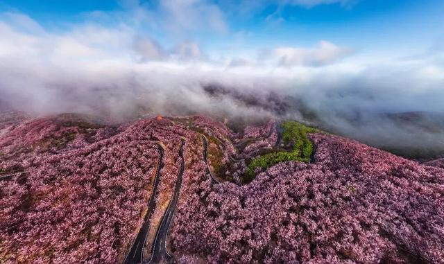 三明过年 · 马上有福 | 解锁三明年会新玩法！温泉+花海+丹霞+古城，承包团队全年快乐