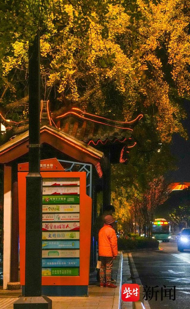 银杏季来了！解锁古城限定冬日玩法