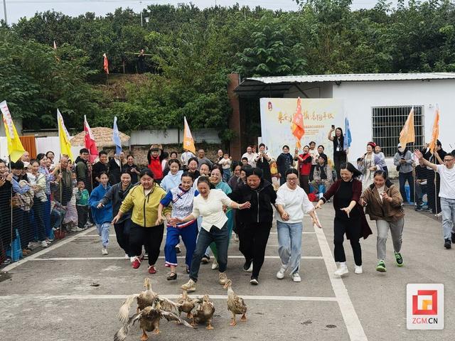 趣味乐跑、柑橘采摘……安溪镇这场 “丰收盛宴” 解锁乡村新体验